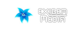 eXigem Media GbR